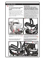 Preview for 13 page of Dorel Juvenile Group TR184 User Manual