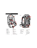 Предварительный просмотр 5 страницы Dorel Juvenile Group Vantage Point/Surveyor Instruction Manual