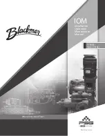 Предварительный просмотр 1 страницы Dover PSG Blackmer 3M Installation, Operation & Maintenance Manual