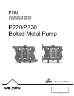 Preview for 1 page of Dover PSG Wilden Pro-Flo P220/AAPPP Engineering Operation & Maintenance Manual