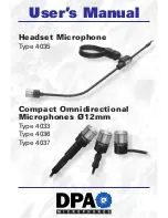 Preview for 1 page of DPA 4033 User Manual