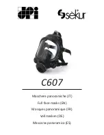 Dpi Sekur C607 CL3 Manual preview