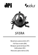 Preview for 1 page of Dpi Sekur SFERA Use And Maintenance Handbook