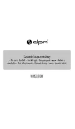 DPM 5900672652086 Manual preview