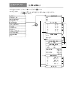 Предварительный просмотр 16 страницы DPM ST6 Series Operating Manual