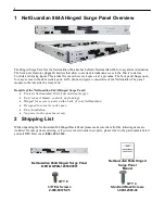 Preview for 4 page of DPS NetGuardian 864 Quick Start Manual