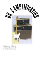 Preview for 1 page of DR. Z Amplification Stang Ray Owner'S Manual