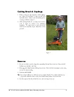 Preview for 17 page of DR DR SCOUT DR SCOUT FIELD and BRUSH MOWER Safety & Operating Instructions Manual