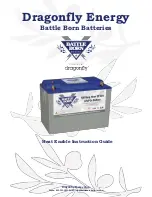 Dragonfly Energy Battle Born Batteries BB10012H Instruction Manual preview