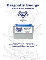 Dragonfly Energy Battle Born BB10012 Manual And Installation Manual preview