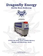 Dragonfly Battle Born Batteries GC3 Manual And Installation Manual preview