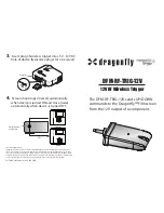 Dragonfly DFM-RF-TRIG-12V Manual preview