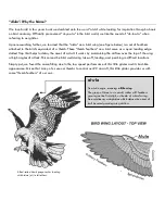 Preview for 3 page of Dream-Flight alula TREK Flight And Assembly Manual