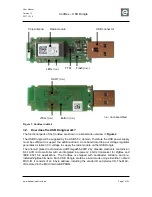 Предварительный просмотр 7 страницы dresden elektronik ConBee User Manual