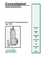 Dresser Consolidated 1900 Installation, Operation And Maintenance Manual предпросмотр