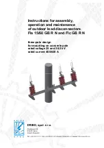 DRIBO Fla 15/60 GB R N Instructions For Assembly, Operation And Maintenance предпросмотр