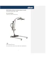 Drive DeVilbiss Healthcare Gravis FLP500 User Instruction Manual preview
