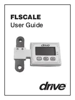 Drive FLSCALE User Manual preview