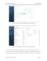 Preview for 167 page of Drone Amplified Ignis II Operational Manual