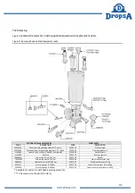 Preview for 31 page of DROPSA 989v2 Operation And Maintenance Manual