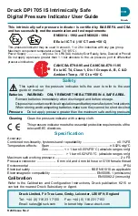 Druck DPI 705 IS User Manual preview