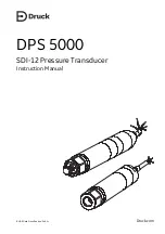 Druck DPS 5000 Instruction Manual предпросмотр