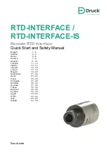 Druck RTD-INTERFACE Quick Start And Safety Manual preview