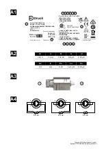 Preview for 3 page of Druck RTD-INTERFACE Quick Start And Safety Manual