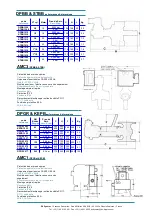 Предварительный просмотр 2 страницы DS Dynatec DPBB Series Manual