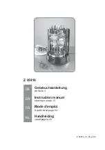 DS Produkte HS-R10A Instruction Manual предпросмотр