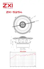 Preview for 10 page of DS18 ZXI-354 Owner'S Manual