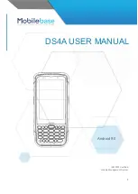 DSIC DS4A User Manual предпросмотр