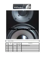 Preview for 1 page of DSPeaker Servo 300 User Manual