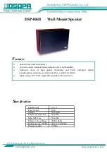 DSPPA DSP406II Quick Start Manual предпросмотр