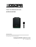 DSPPA DSP5505R Owner'S Manual предпросмотр