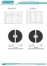 Preview for 3 page of DSPPA DSP8063B Quick Start Manual