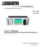 DSPPA MAG2120II User Manual предпросмотр