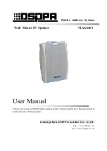 DSPPA MAG6463 User Manual предпросмотр