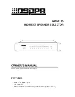 DSPPA MP9813D Owner'S Manual preview