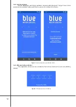 Предварительный просмотр 12 страницы DTM System BLUE 232 Manual