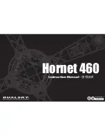 Dualsky Hornet 460 Instruction Manual preview