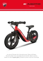 Ducati E-MOTO User Manual preview