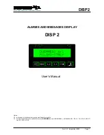 Duemmegi DISP 2 User Manual preview