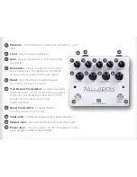 Предварительный просмотр 3 страницы Duncan Palladium Gain Stage User Manual