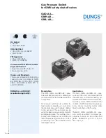 Dungs 217-085A Manual предпросмотр