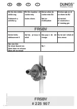 Dungs 225907 Instructions Manual предпросмотр