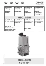 Dungs 241 484 Instructions Manual предпросмотр