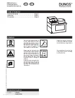 Предварительный просмотр 1 страницы Dungs DMV Series Installation Instructions