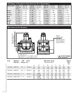 Предварительный просмотр 10 страницы Dungs FRI 7/6 Series Installation Instructions Manual