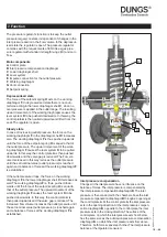 Preview for 118 page of Dungs FRM 100025 HD Instruction Manual